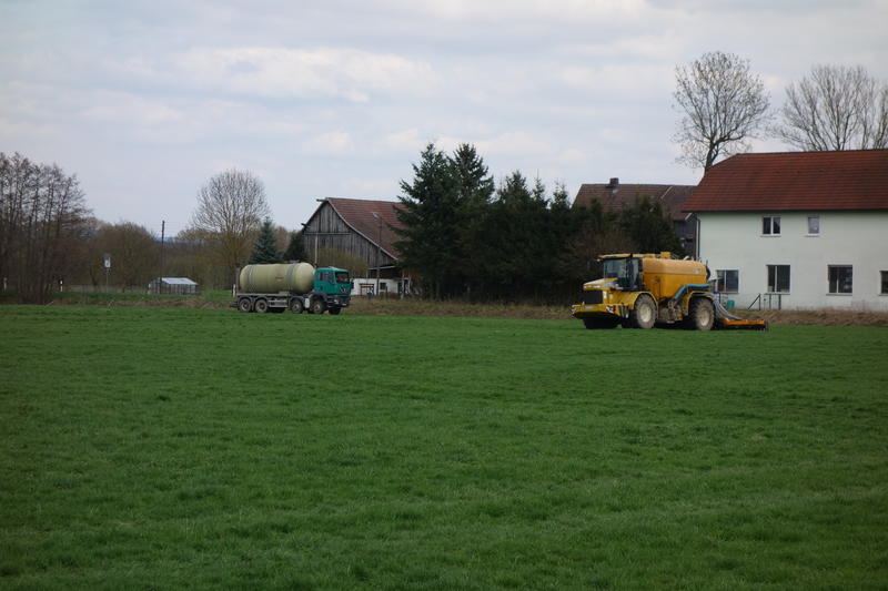 DSC04246.jpg