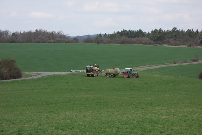bilder/20_7_2011/CIMG3485.jpg