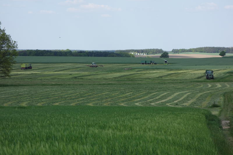 bilder/10_05_2016/DSC04420.jpg