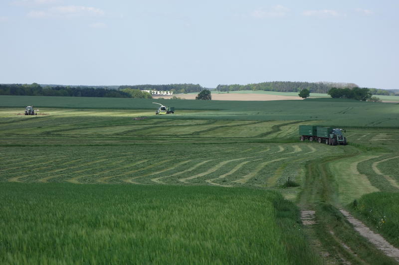 bilder/10_05_2016/DSC04421.jpg