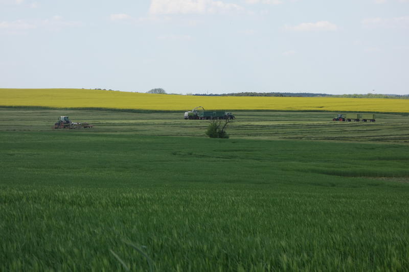 bilder/10_05_2016/DSC04452.jpg