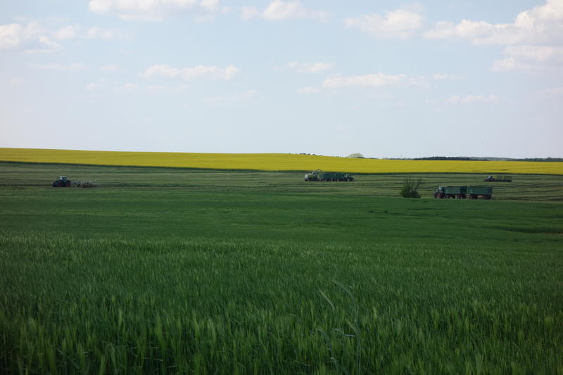 bilder/28_9_2013_2/CIMG9845.jpg