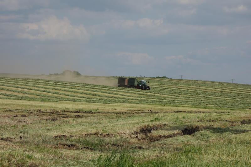 bilder/10_05_2016_2/DSC04460.jpg
