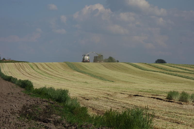 DSC04464.jpg