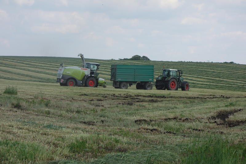 bilder/20_5_2004/fendt.jpg