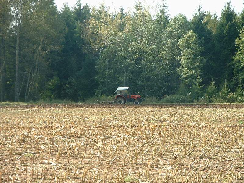 bilder/27_7_2012/CIMG9853.jpg