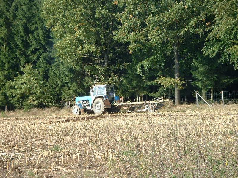 bilder/7_10_2014/CIMG8248.jpg