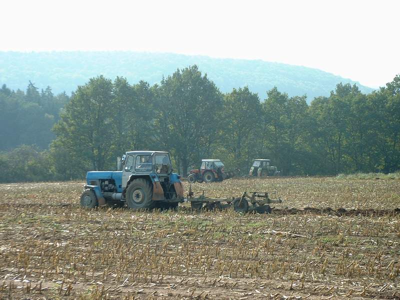 bilder/10_10_2002/zt_323_+_zt_303_+_zetor.jpg