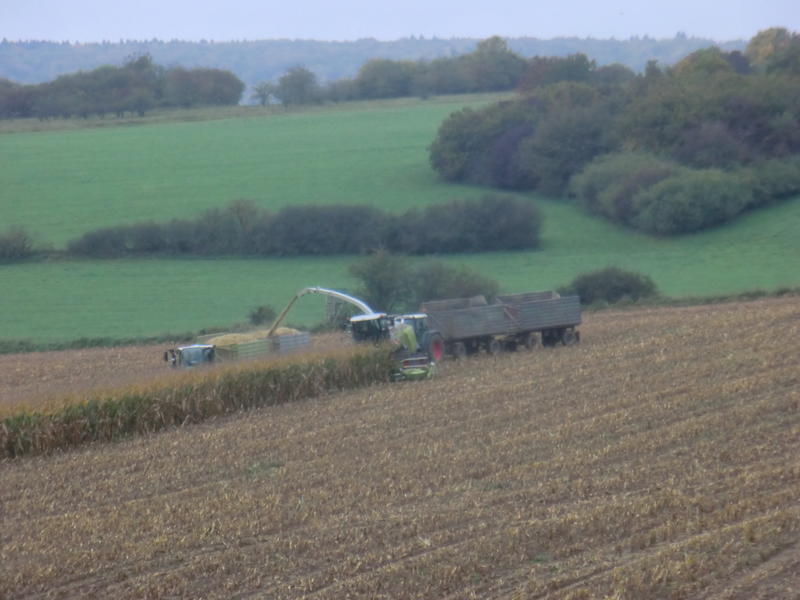 bilder/10_10_2014/CIMG8353.jpg