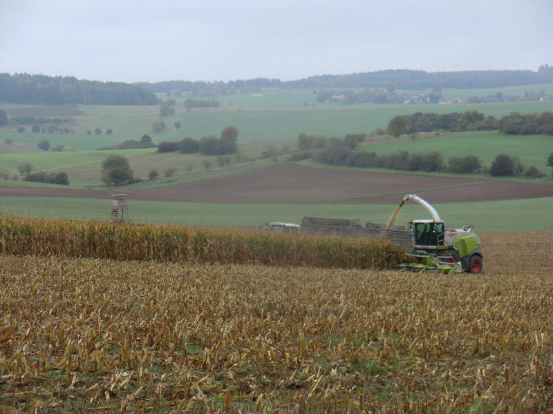 bilder/6_10_2012_2/CIMG1554.jpg