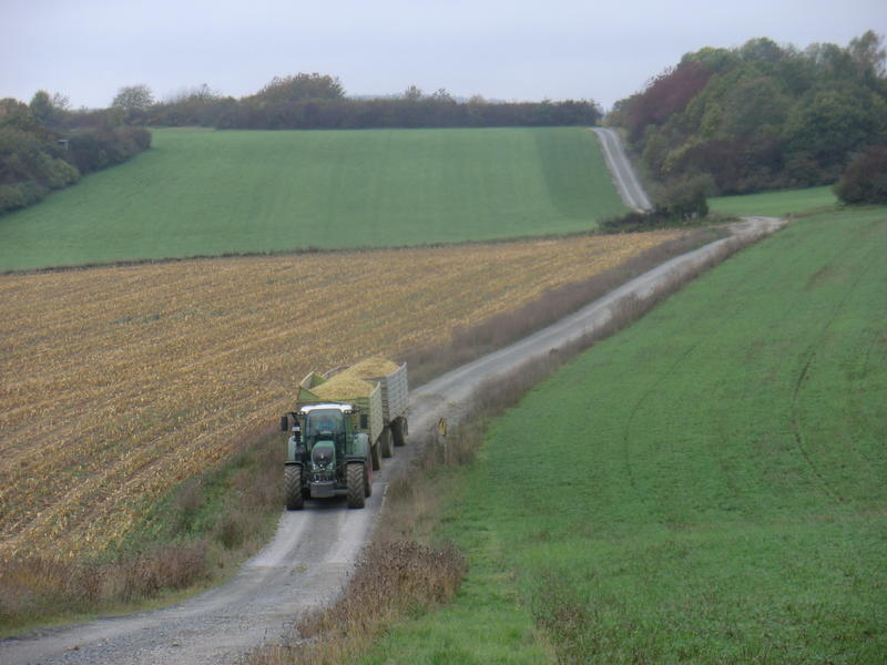 bilder/11_8_2019/DSC08074.jpg