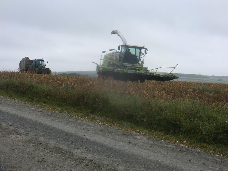 CIMG8359.jpg