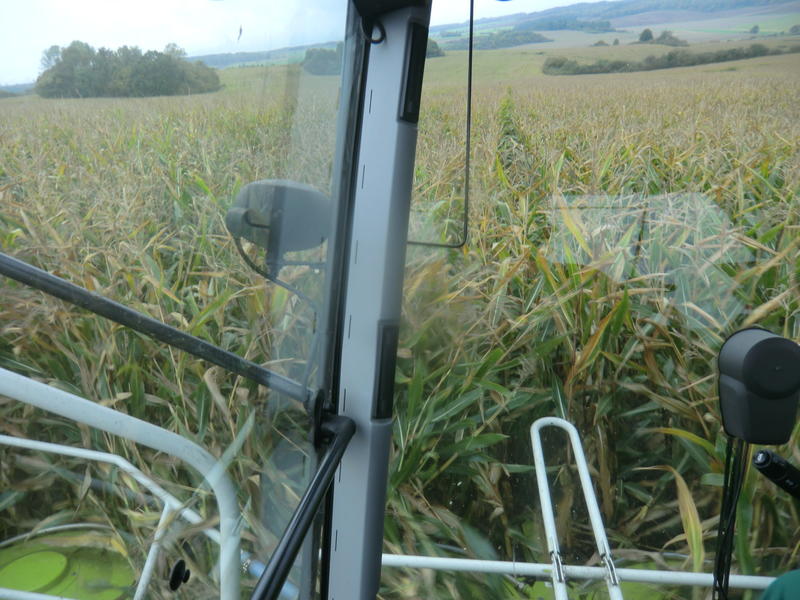 bilder/18_6_2005/fendt_818_targo_2.jpg