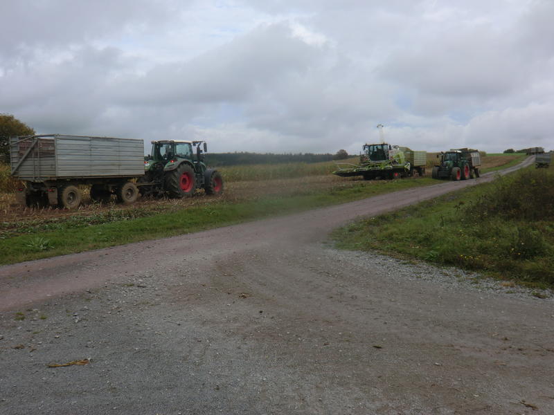 CIMG8372.jpg