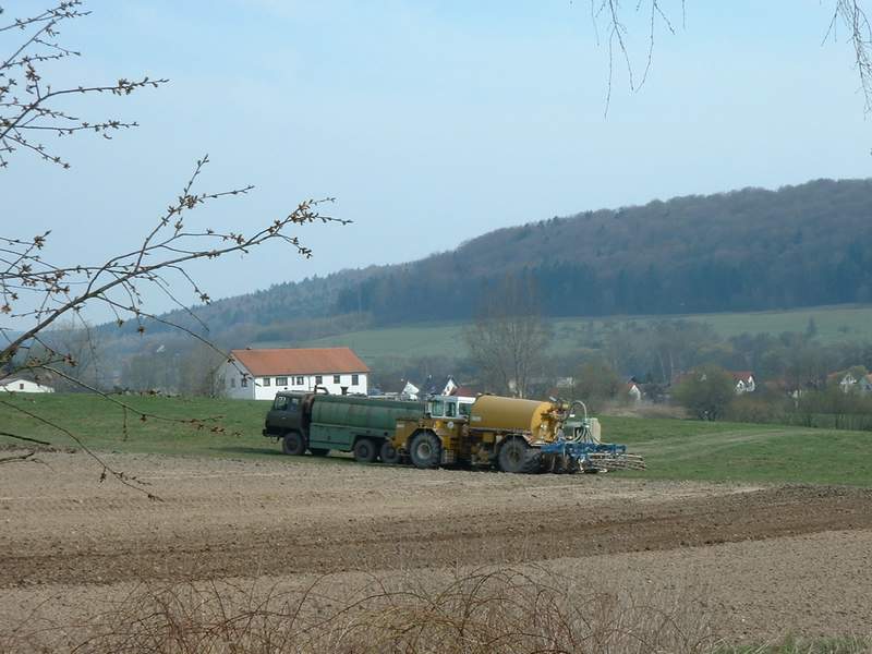 bilder/10_4_2002/terra_gator_+_tatra.jpg
