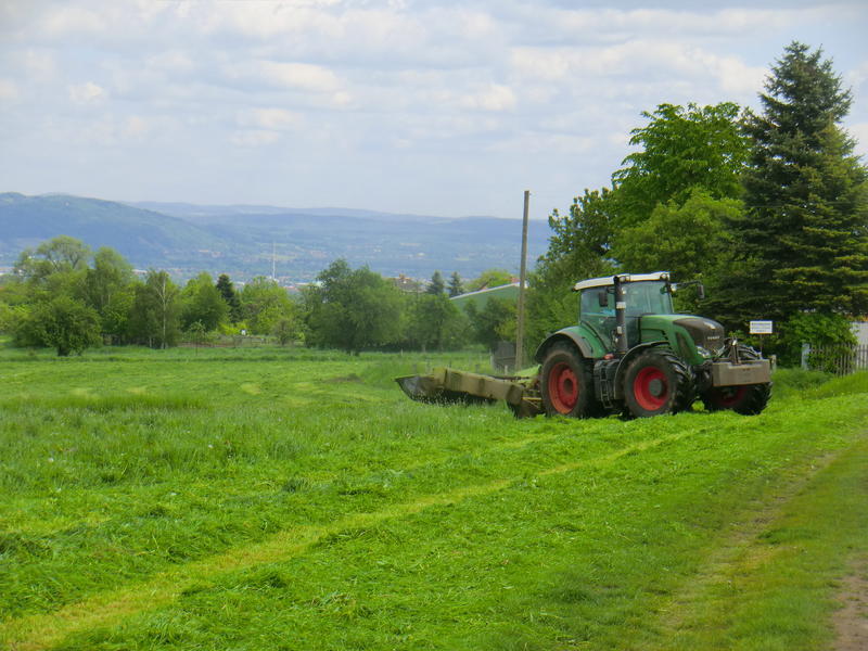 bilder/10_5_2014/CIMG2255.jpg