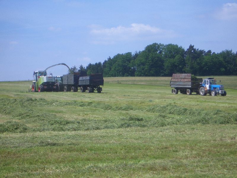 bilder/18_9_2012/CIMG0828.jpg