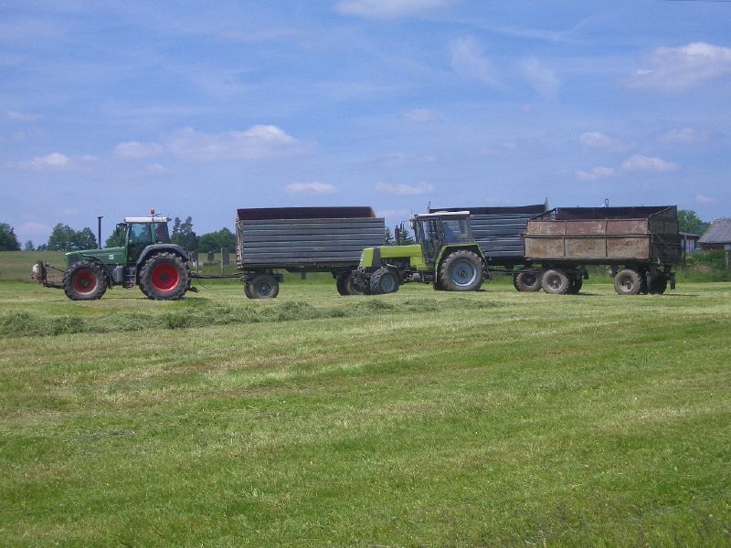IMGP3207.jpg
