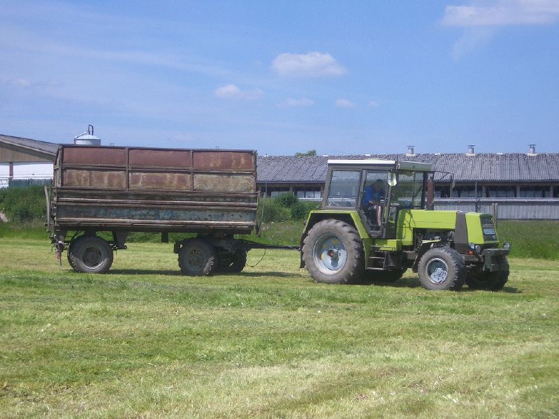 IMGP3225.jpg