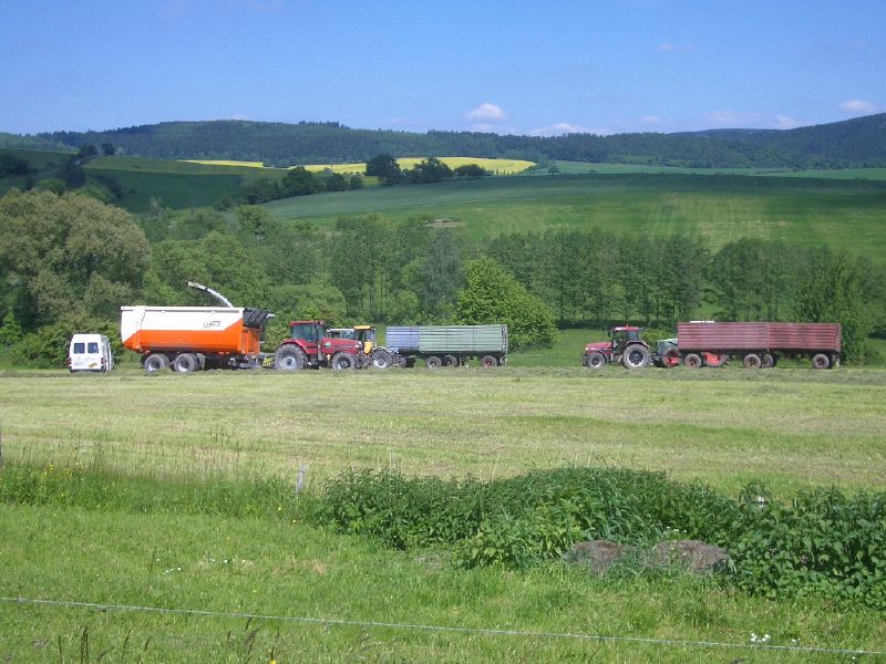 IMGP3233.jpg
