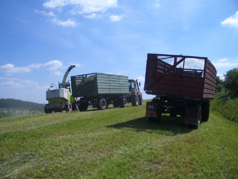 IMGP3245.jpg