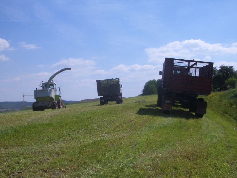IMGP3246.jpg