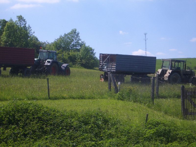 IMGP3252.jpg