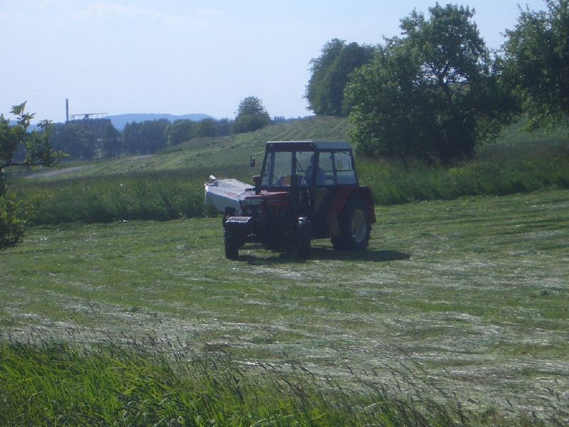 bilder/17_10_2011/CIMG5555.jpg