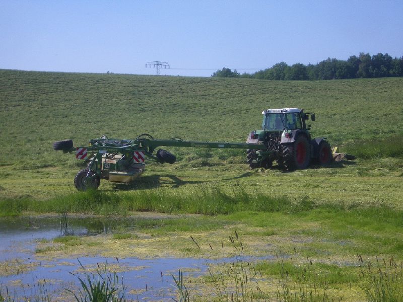 bilder/16_6_2011/CIMG2504.jpg