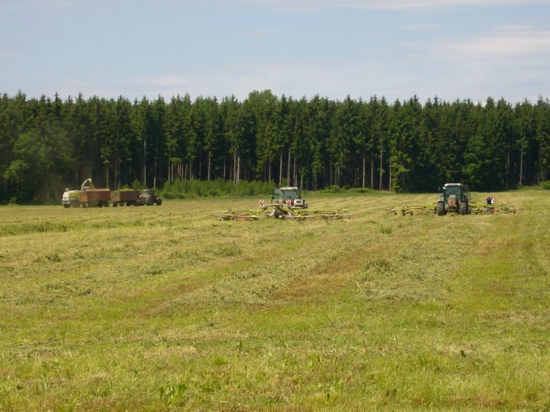 bilder/26_4_2002/zt_303.jpg