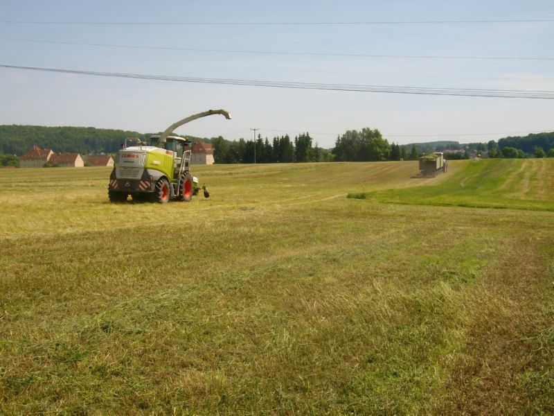 bilder/09_04_2016/DSC04251.jpg