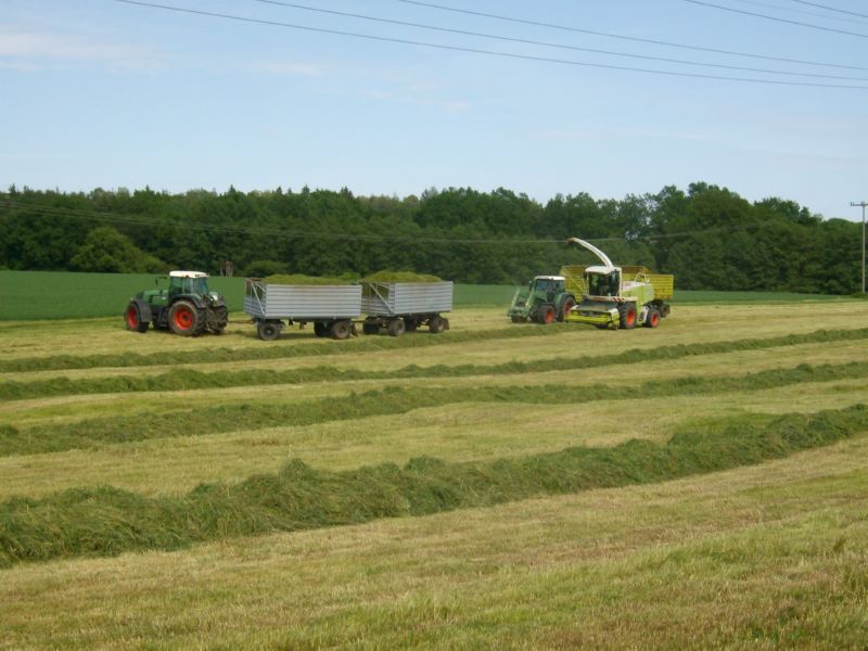 bilder/21_3_2003/fendt_824_5.jpg