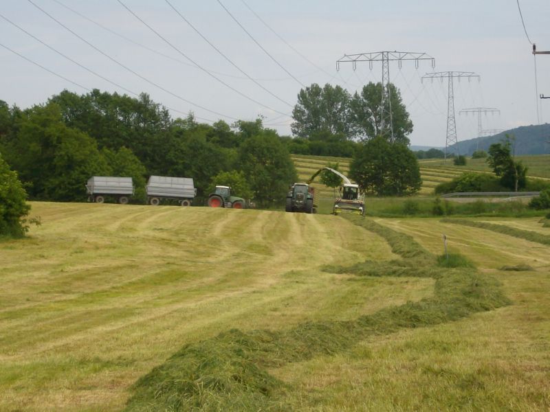 IMGP1275.jpg