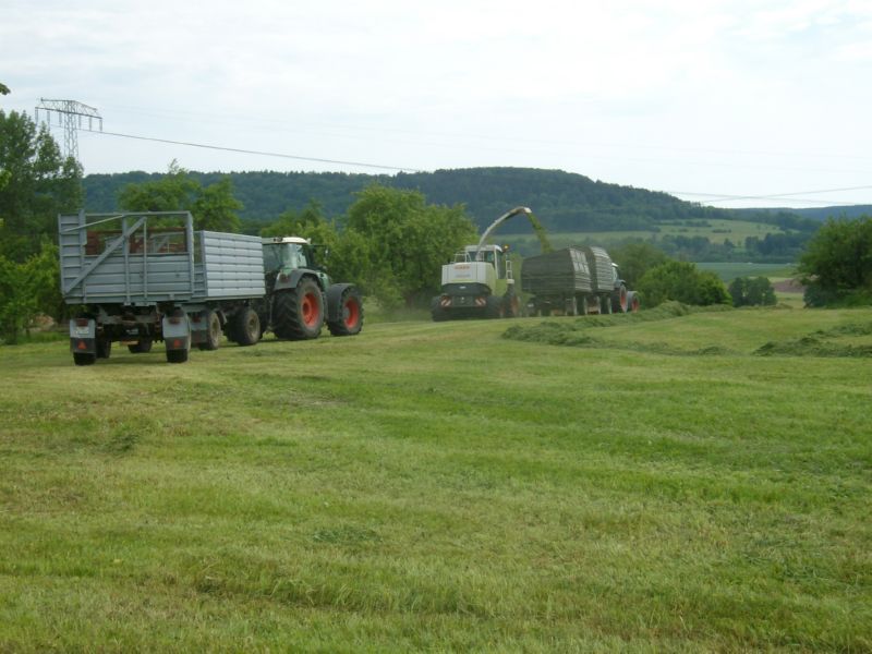IMGP1296.jpg