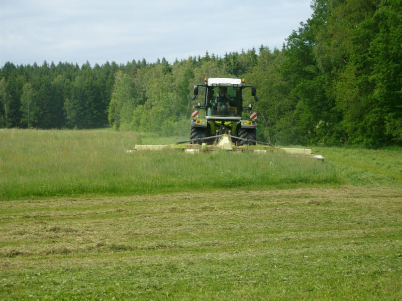 bilder/22_8_2014_2/CIMG7746.jpg