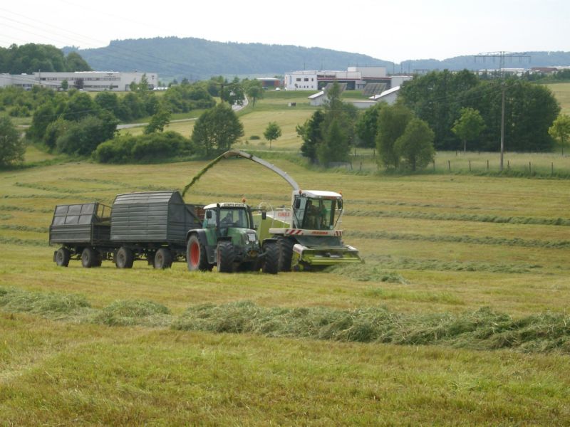 bilder/16_8_2002_1/terra_gator_2.jpg