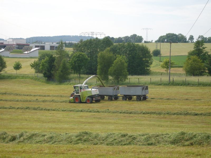 bilder/9_4_2002/terra_gator_2.jpg