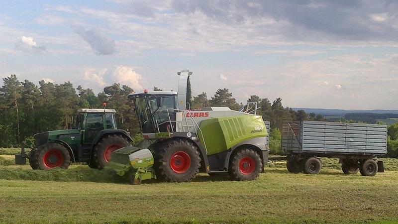 bilder/5_10_2013/CIMG0124.jpg