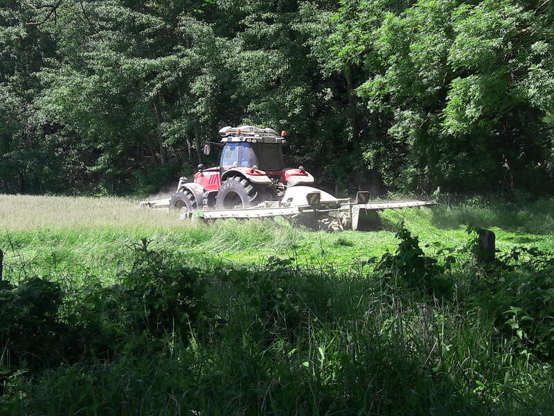bilder/3_6_2004/terra_gator_tatra.jpg