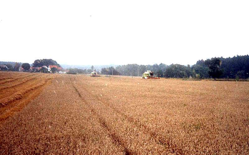 bilder/10_8_1996/2x_mega.jpg