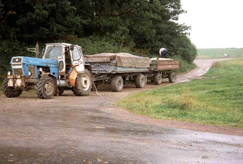 bilder/16_8_2002_1/terra_gator_+_tatra.jpg