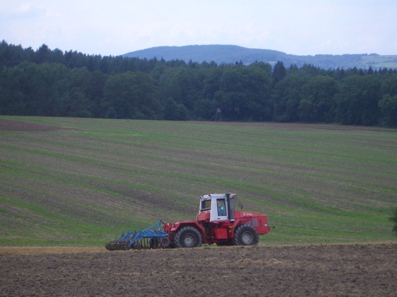 bilder/10_8_2006/IMGP4259.jpg