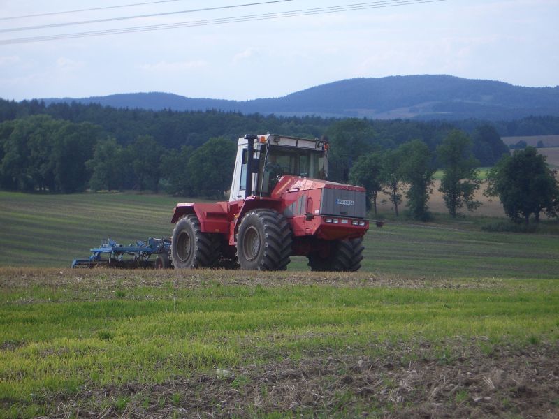 bilder/23_7_1998/e_280.jpg