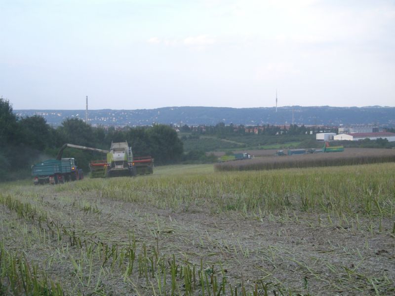 IMGP2372.jpg