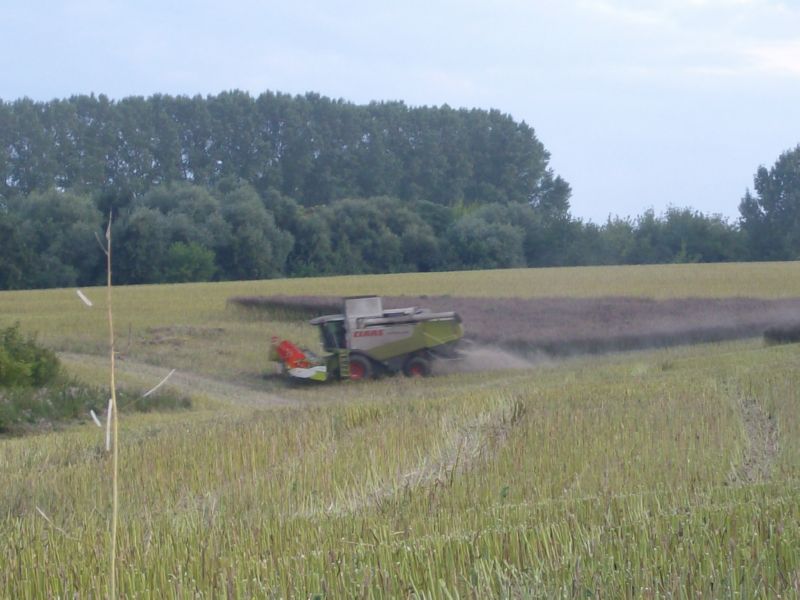 bilder/10_8_2010/IMGP2415.jpg