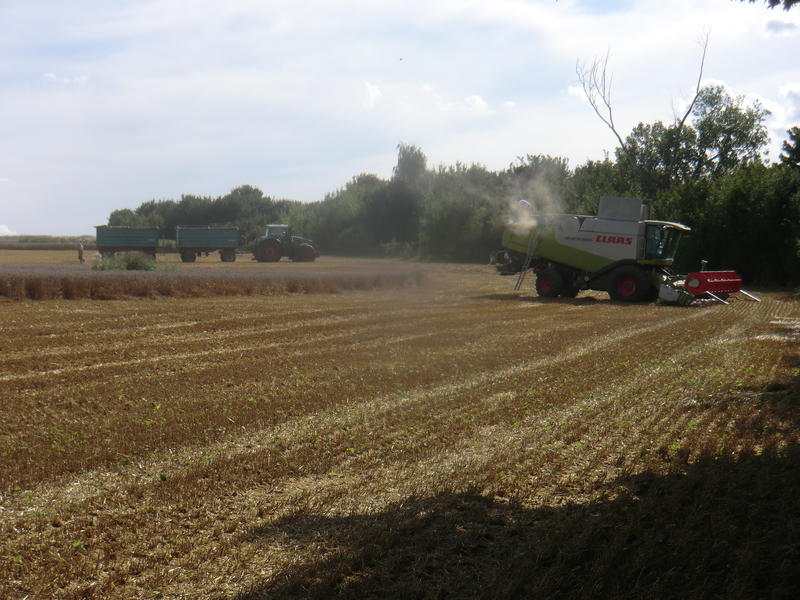 bilder/20_7_2003/weidemann_+_fendt_2.jpg