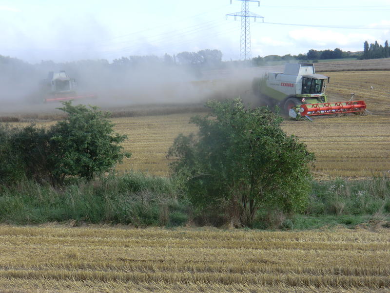 bilder/23_6_2014/CIMG3346.jpg