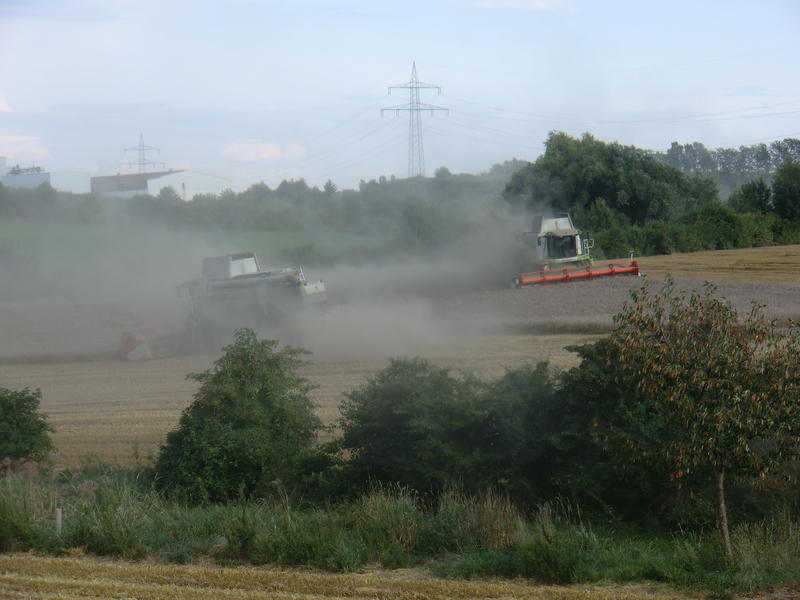 CIMG7540.jpg