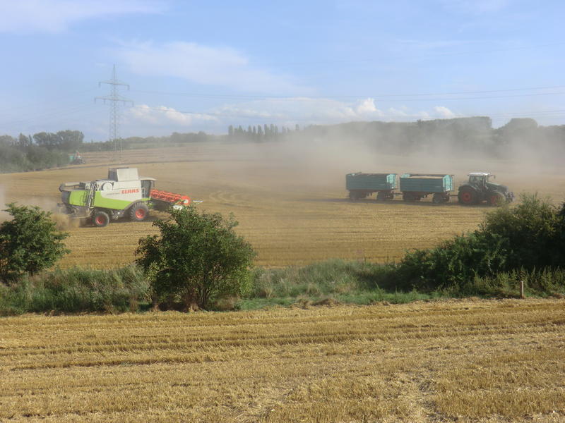 bilder/10_8_2014/CIMG7542.jpg