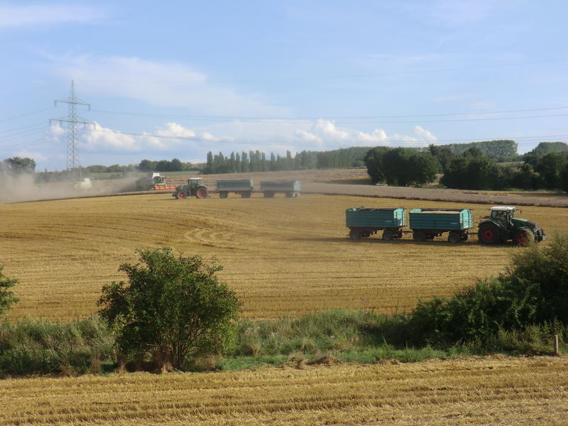 CIMG7546.jpg